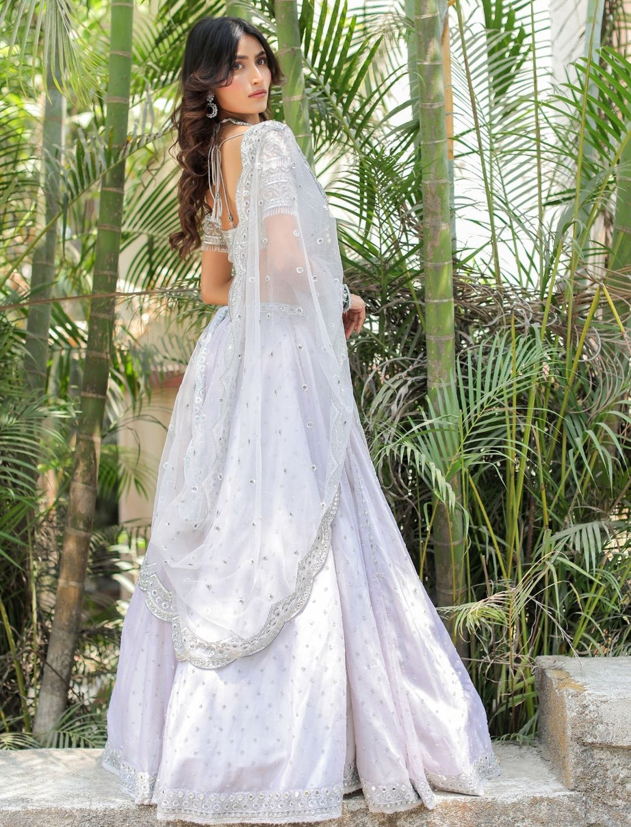 Grey with Silver Mirror Embroidered Organza Lehenga