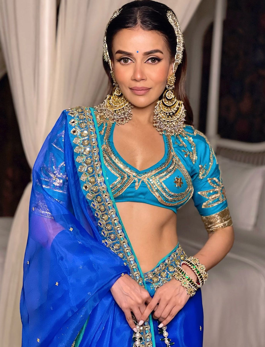 Blue Embroidered Organza Saree Set